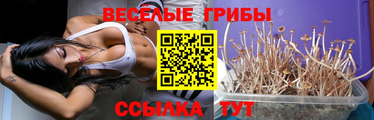 Галлюциногенные грибы Cubensis Нурлат